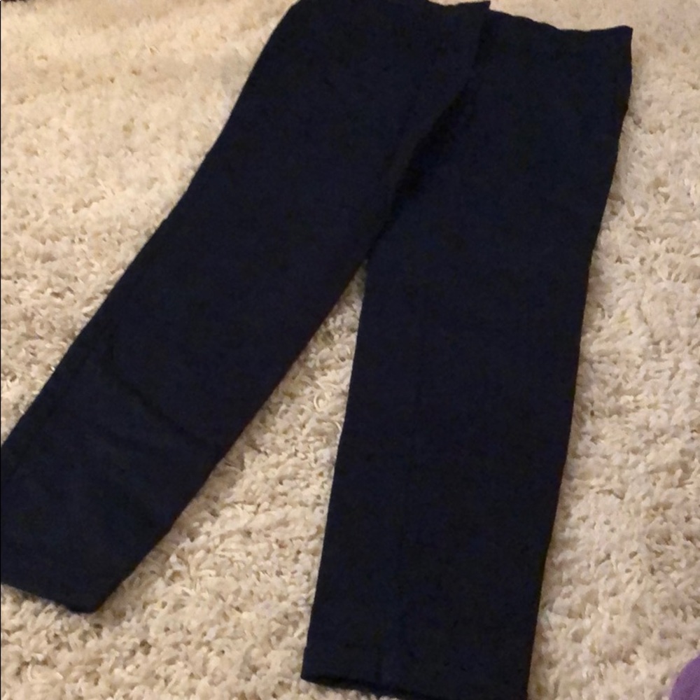 Zara Navy Dress Pants
